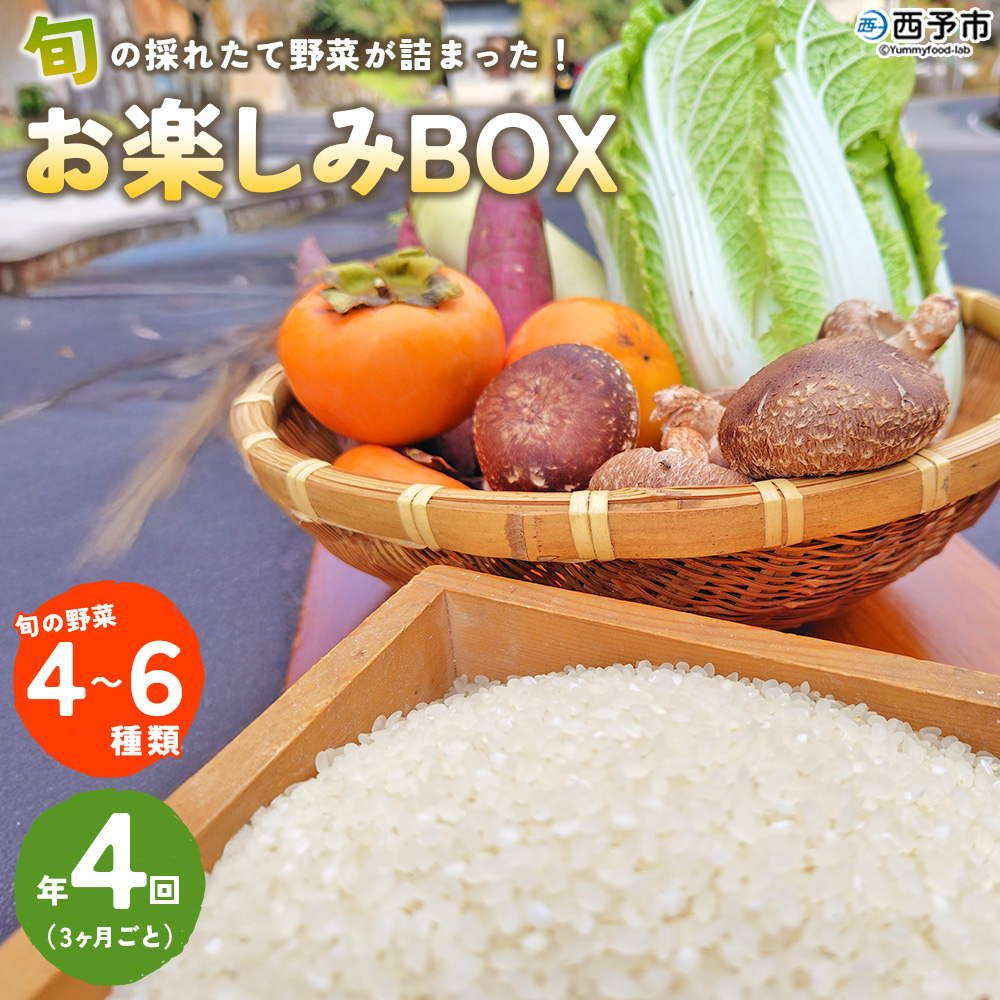 ＜旬の採れたて野菜が詰まったお楽しみBOX（3か月ごと年4回の定期便）＞ 西予市遊子川産 農家さんの顔が見える野菜 定期便 野菜 食べて応援 特産品 遊子川ザ・リコピンズ 愛媛県 西予市