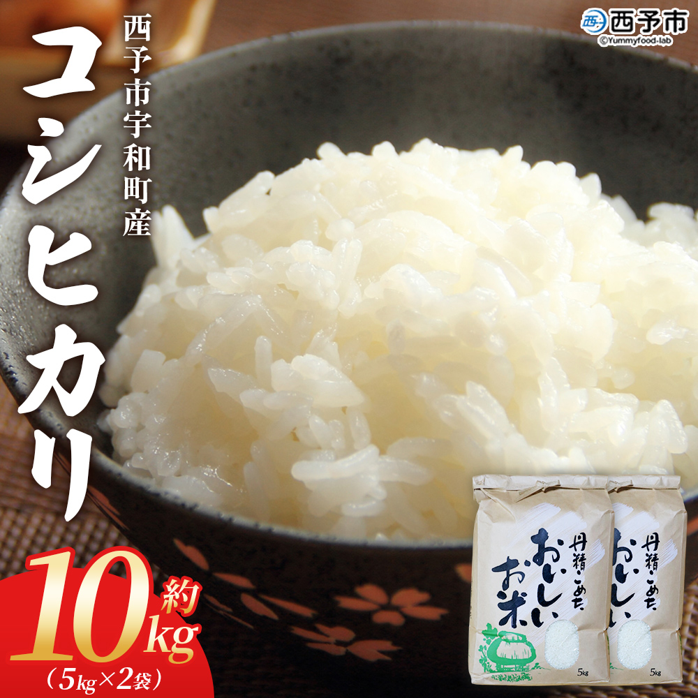 ＜コシヒカリ 約10kg＞ 10キロ こしひかり 米 お米 コメ こめ 白米 精米 ご飯 ライス もっちり 穀物 お弁当 おにぎり 特産品 愛媛県産 西予市産 宇和町産 ファームNINOMIYA 愛媛県 西予市