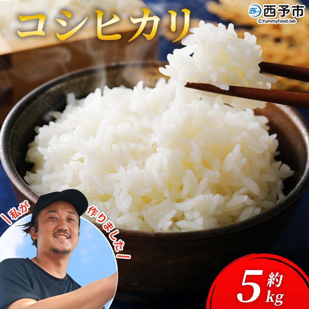 【KAZUファーム】 コシヒカリ 5㎏