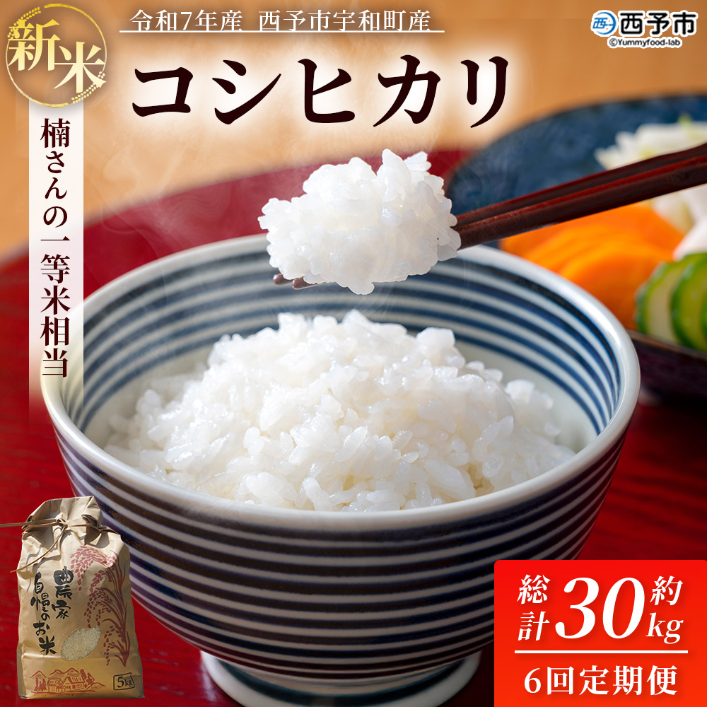 ＜【6回定期便】令和7年産 コシヒカリ 約5kg 西予市宇和町産＞ 白米 精米 楠さんの一等米相当 選べる こしひかり お米 コメ こめ ご飯 ごはん 早く届く スピード発送 愛媛県 西予市