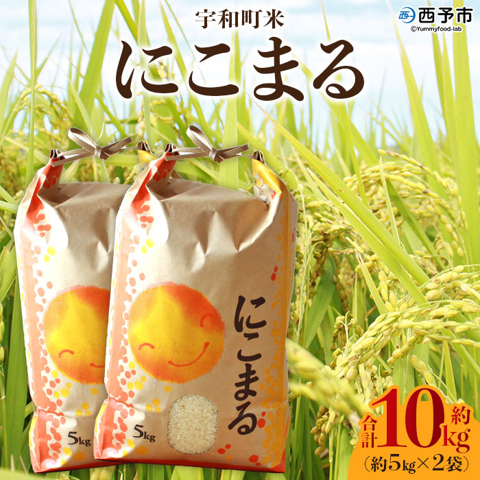 ＜令和7年産 西予市宇和町米 にこまる 約10kg（5kg×2袋）＞ お米 コメ 白米 ご飯 晩稲 大粒 特産品 三好フク 愛媛県 西予市