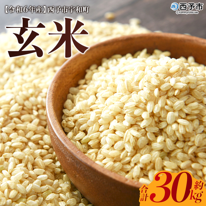 ＜令和6年産 西予市宇和町産 玄米 30kg＞ お米 コメ ご飯 ライス 穀物 こしひかり コシヒカリ にこまる 晩稲 大粒 特産品 三好フク 愛媛県 西予市