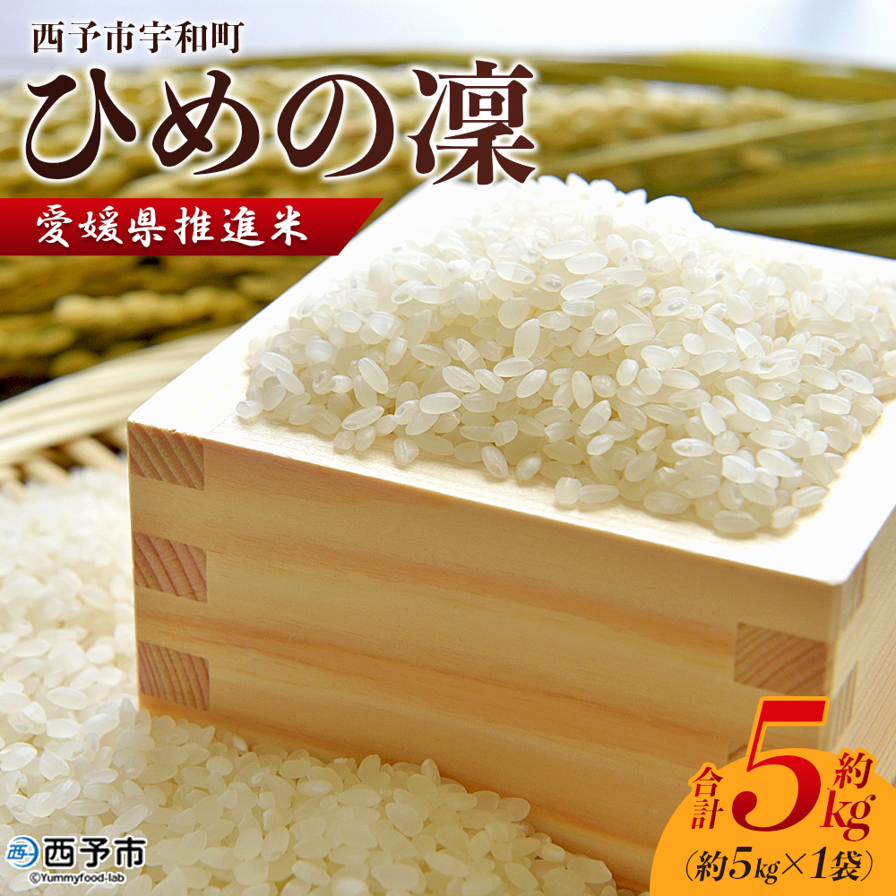 ＜愛媛県推進米 ひめの凜 約5kg＞ お米 コメ こめ 白米 精米 ご飯 ライス 穀物 ひめのりん ヒメノリン ブランド米 大粒 ツヤツヤ 特産品 愛媛県産 西予市産 宇和町産 三好フク 愛媛県 西予市