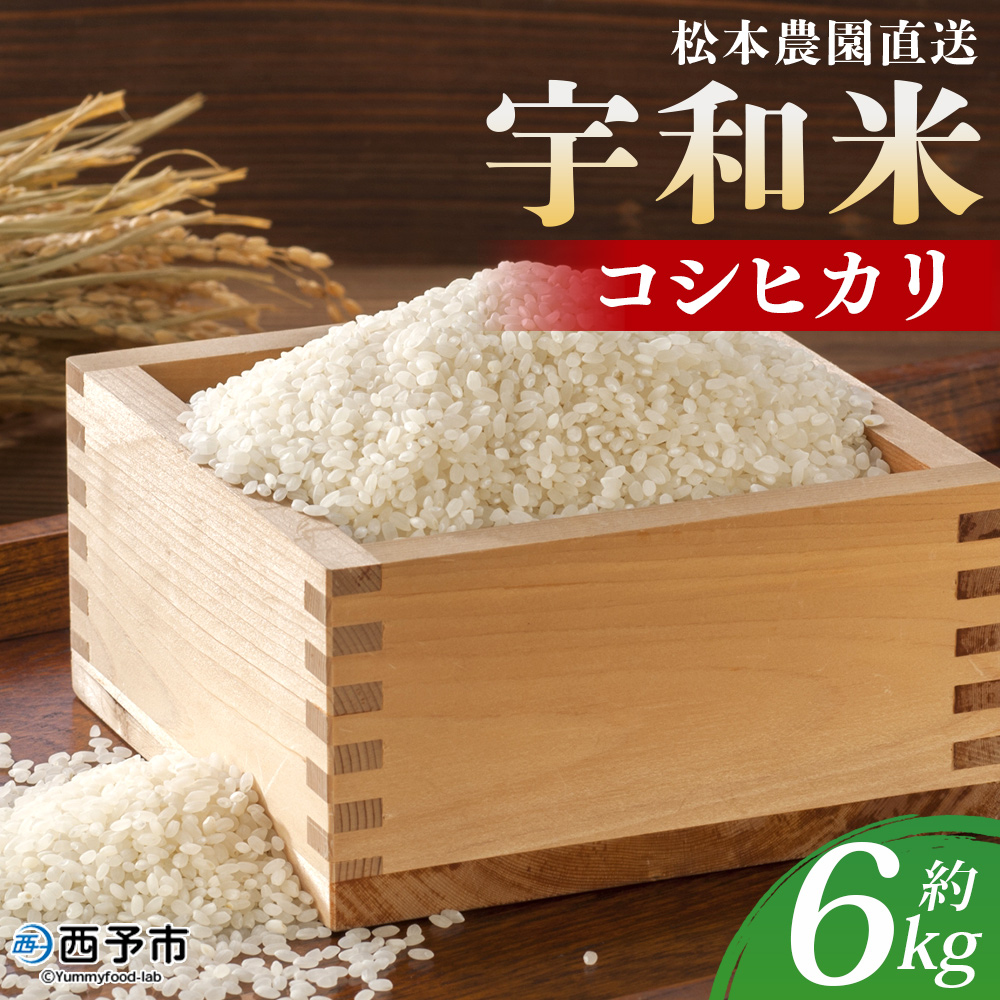 ＜令和7年産 松本農園直送 宇和米（コシヒカリ）約6kg＞ こしひかり 米 コメ こめ 白米 精米 うわまい ご飯 新鮮 6キロ 選べる お弁当 朝 昼 夜 国産 特産品 愛媛県 西予市 約６kg（寄附額23,000円）