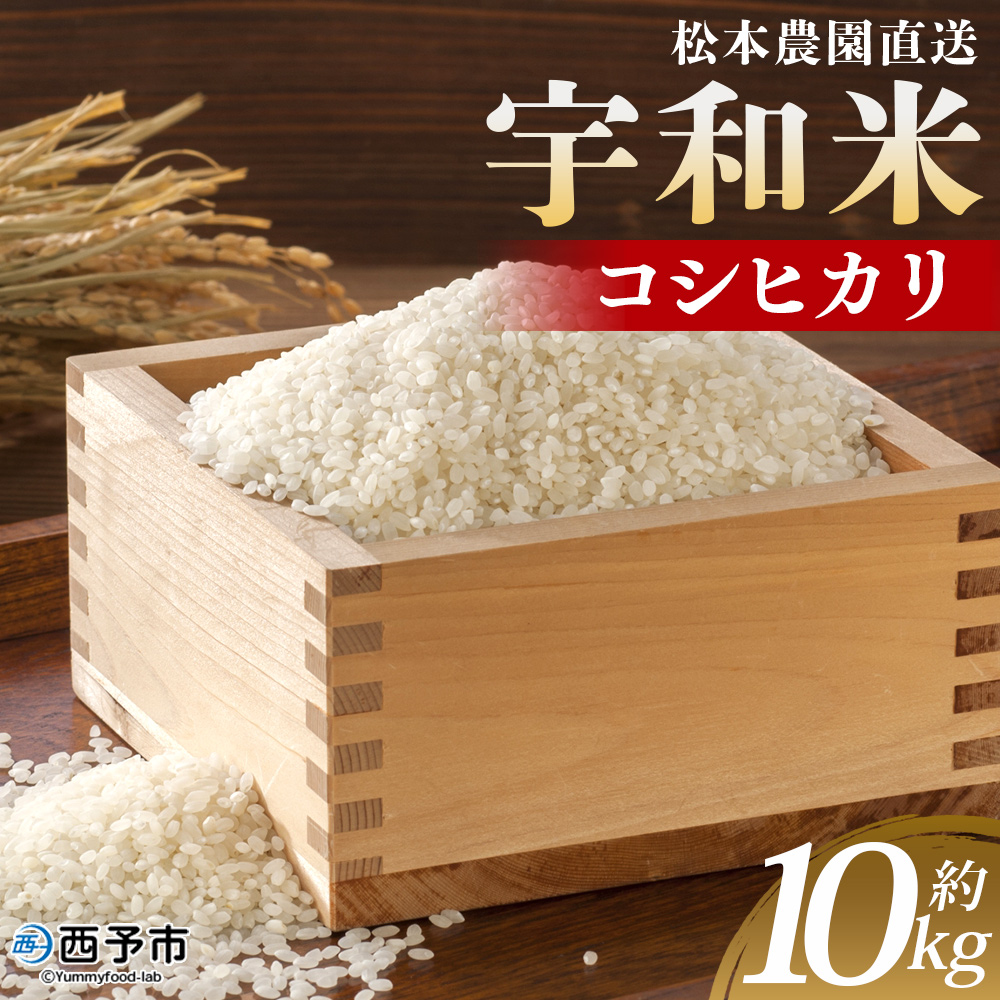 ＜令和7年産 松本農園直送 宇和米（コシヒカリ）約10kg＞ こしひかり 米 コメ こめ 白米 精米 うわまい ご飯 新鮮 10キロ 選べる お弁当 朝 昼 夜 国産 特産品 愛媛県 西予市 約10kg（寄附額38,000円）