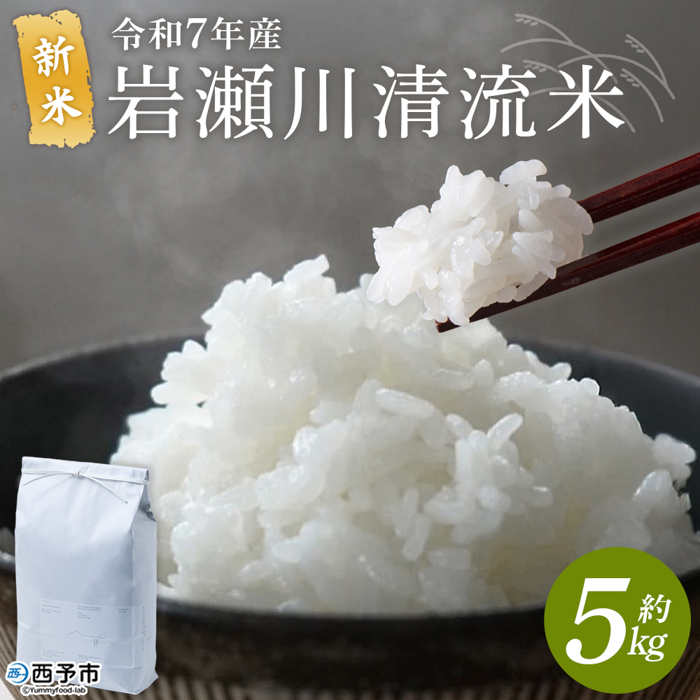 ＜令和7年産 新米 コシヒカリ 岩瀬川清流米 5kg＞ 5キロ こしひかり お米 コメ こめ 白米 精米 ご飯 穀物 鮮度 特産品 愛媛県産 西予市産 宇和町産 OTSUKAFARM 愛媛県 西予市