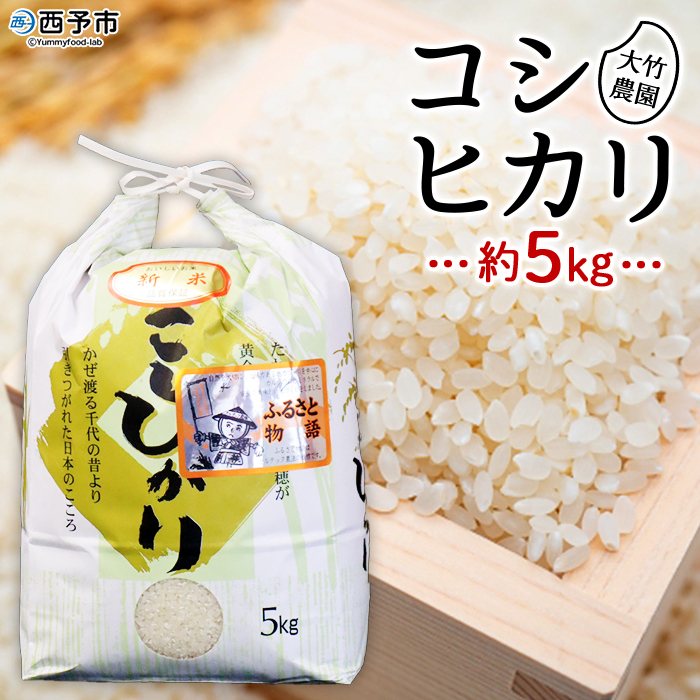 ＜令和6年産 大竹農園 コシヒカリ 約5kg＞ こしひかり コメ 白米 精米 ご飯 新鮮 旨味 大粒 ふっくら もちもち モチモチ お弁当 朝ごはん お昼ごはん 夜ごはん 特産品 愛媛県 西予市