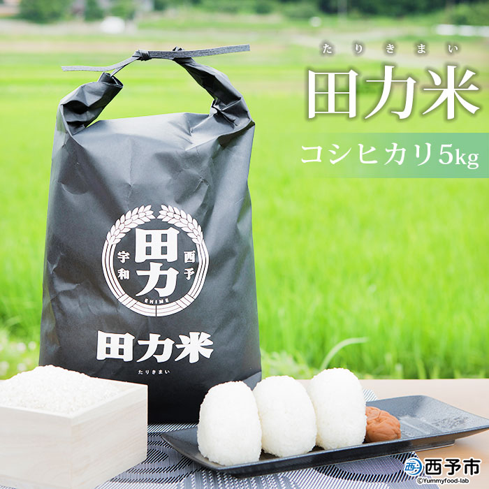 ＜令和7年産 田力米 5kg コシヒカリ＞お米 こめ コメ 白米 精米 こしひかり ご飯 ごはん 特産品 産地直送 田力本願 愛媛県 西予市