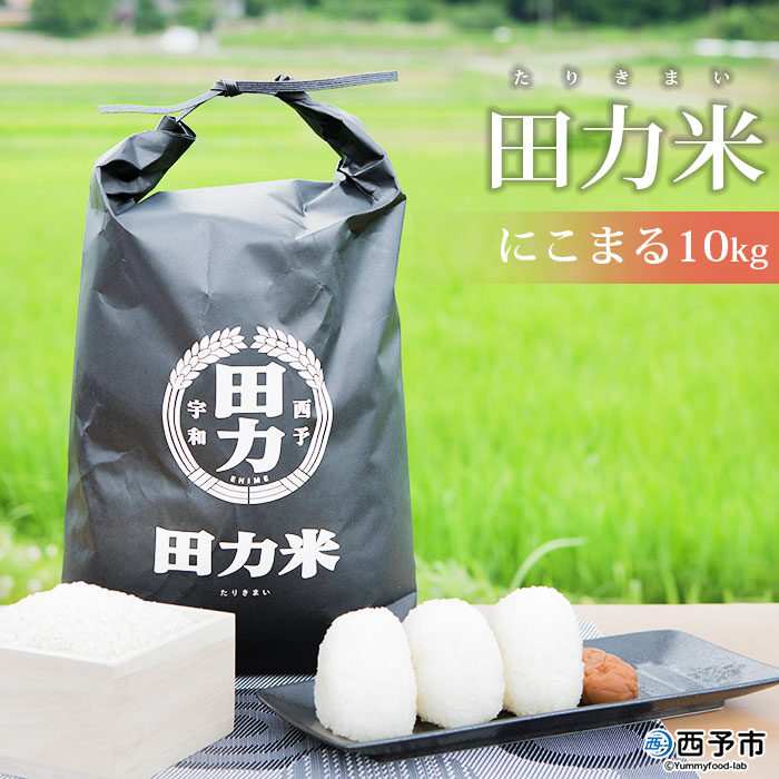 ＜令和7年産 田力米 10kg にこまる＞お米 こめ コメ 白米 精米 ご飯 ごはん 特産品 産地直送 田力本願 愛媛県 西予市