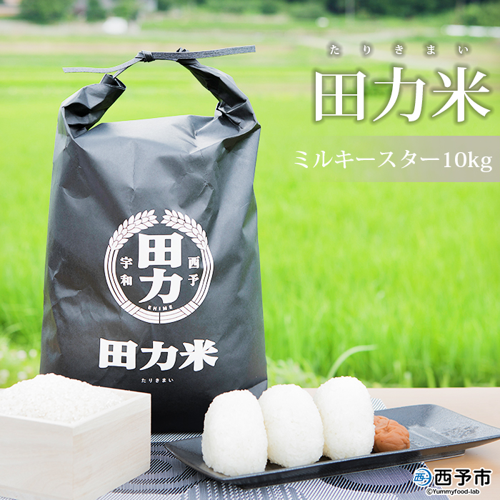 ＜令和6年産 田力米 10kg ミルキースター＞お米 こめ コメ 白米 精米 ご飯 ごはん 特産品 産地直送 田力本願 愛媛県 西予市