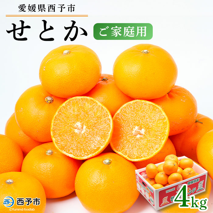 ＜愛媛県西予市産 せとか ご家庭用 約４kg＞ 訳あり 不揃い 傷 果物 フルーツ みかん ミカン セトカ オレンジ 柑橘 愛媛県 西予市