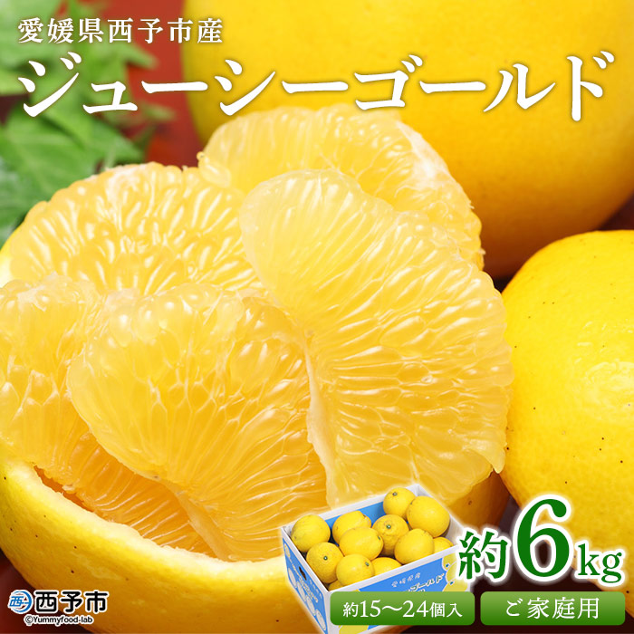 ＜ジューシーゴールド（河内晩柑） ご家庭用 約6kg＞ 訳あり 果物 フルーツ かわちばんかん みかん オレンジ 柑橘 愛媛県 西予市