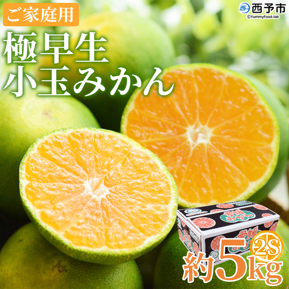 ＜極早生小玉みかん ご家庭用 約5kg＞ 果物 フルーツ ミカン オレンジ 柑橘 愛媛県 西予市