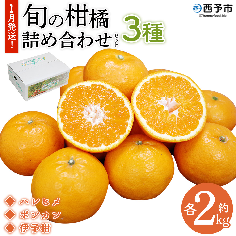 ＜ 1月発送！旬の柑橘 詰め合わせセット 3種×各2kg（ハレヒメ・ポンカン・伊予柑）＞ 果物 フルーツ みかん ミカン 蜜柑 柑橘 オレンジ 特産品 宇都宮物産 愛媛県 西予市