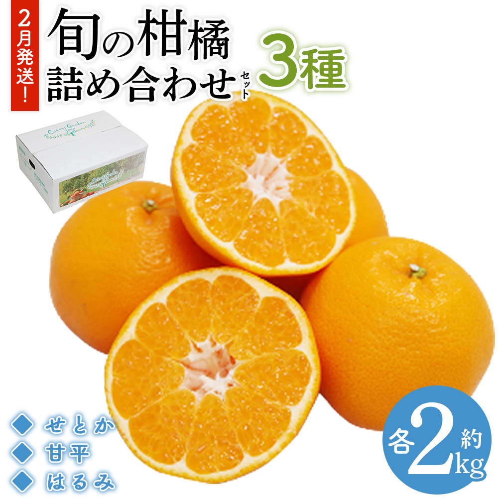 ＜ 2月発送！旬の柑橘 詰め合わせセット 3種×各2kg（せとか・甘平・はるみ）＞ 果物 フルーツ みかん ミカン 蜜柑 柑橘 オレンジ 特産品 宇都宮物産 愛媛県 西予市