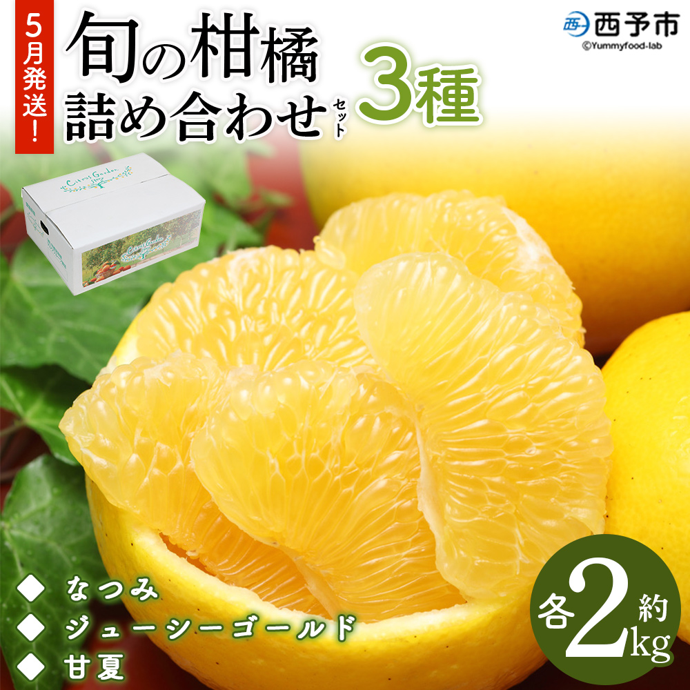 ＜ 5月発送！旬の柑橘 詰め合わせセット 3種×各2kg（なつみ・ジューシーゴールド・甘夏）＞ 果物 フルーツ みかん ミカン 蜜柑 柑橘 オレンジ 特産品 宇都宮物産 愛媛県 西予市