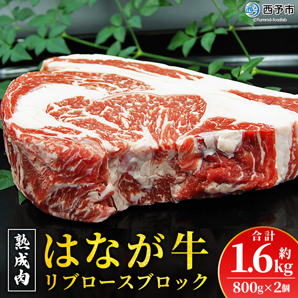 ＜熟成肉 はなが牛リブロースブロック約1.6kg（800g×2個）＞ 牛肉 ステーキ 鉄板焼き 焼き肉 国産 塊肉 かたまり 霜降り しもふり バーベキュー BBQ キャンプ アウトドア 特産品 ゆうぼく 愛媛県 西予市