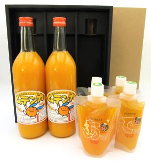 むてじゅれセット