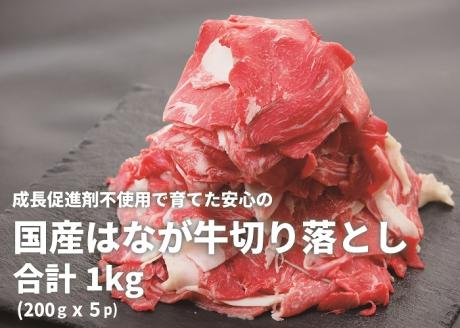はなが牛　切り落とし　1㎏　（200gｘ5p）