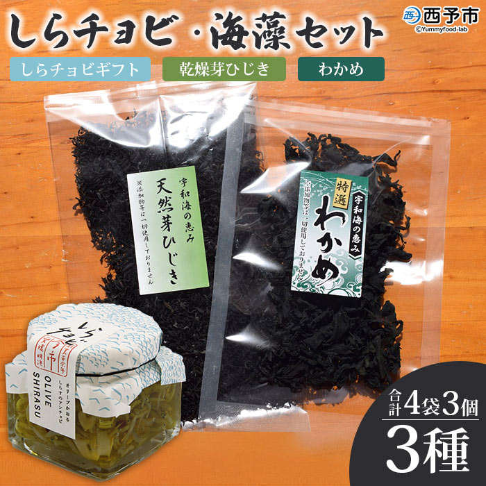 今市水産 しらチョビ海藻セット