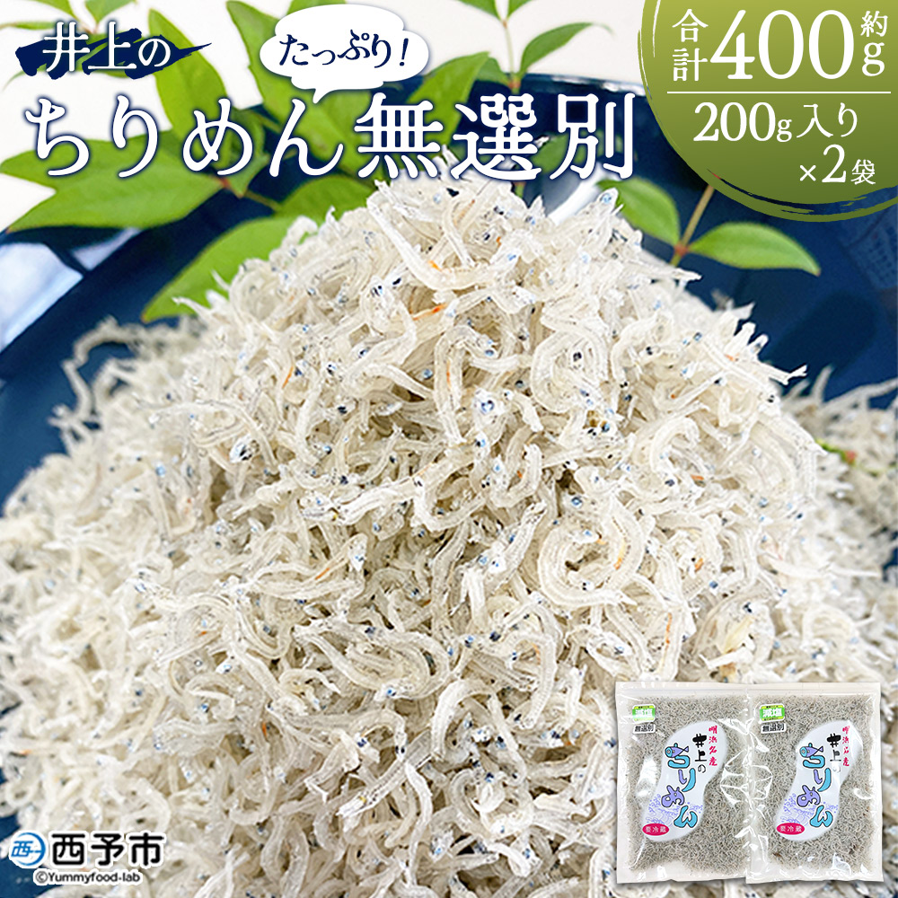 [井上のちりめん 無選別 合計約400g(200g入り×2袋)] ちりめんじゃこ タコ エビ イカ かたくちいわし 小魚 小分け カルシウム 乾物 愛媛県 西予市