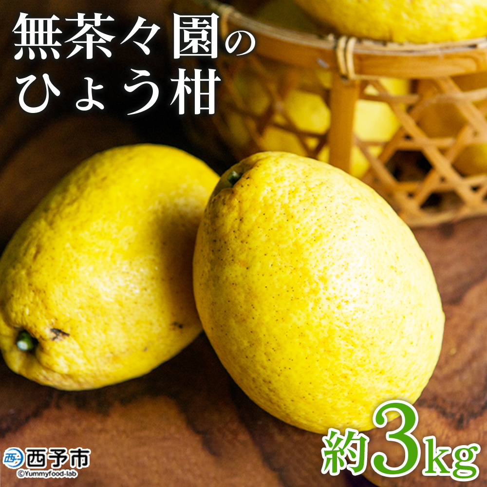 [無茶々園のひょう柑 約3kg] 果物 みかん くだもの ミカン 柑橘 フルーツ 弓削瓢柑 愛媛県 西予市