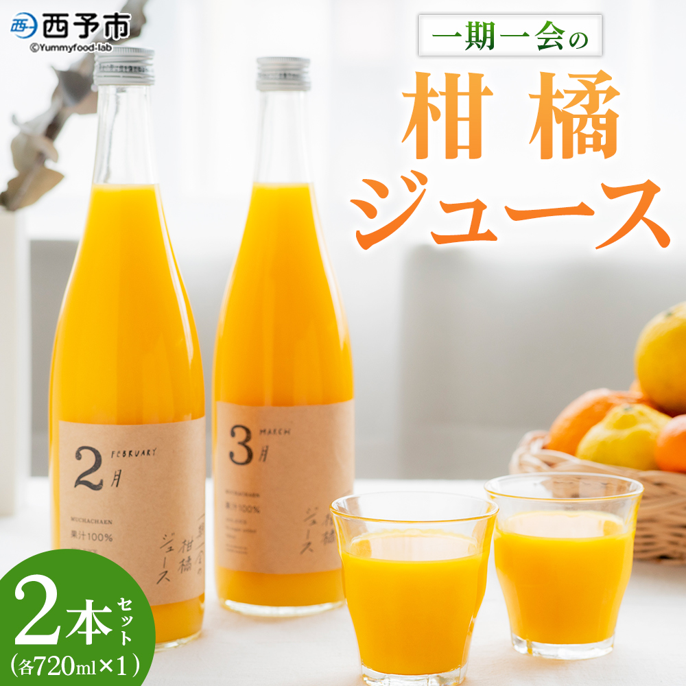 [一期一会の柑橘ジュース 720ml×2本セット] 果汁100% ストレート 柑橘 果物 みかん ミカン フルーツ ブレンド 旬 詰め合わせ 愛媛県 西予市