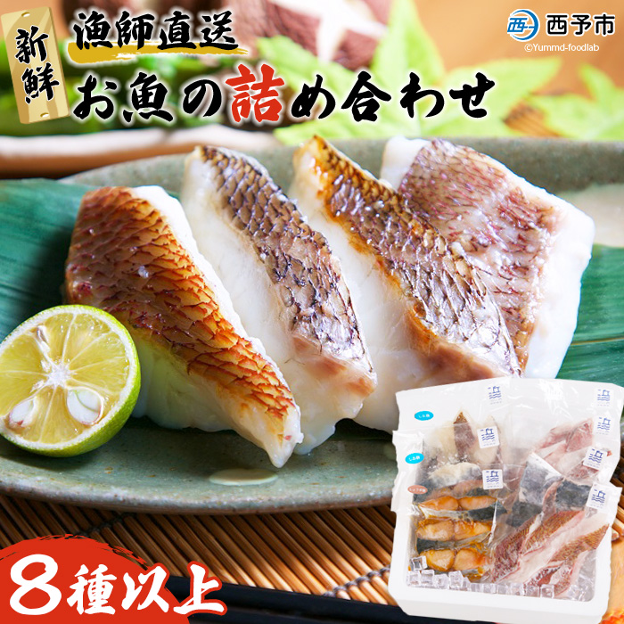 [漁師直送 新鮮お魚の詰め合わせ] さかな つめあわせ お楽しみ 麹漬け 切り身 おかず おつまみ 下処理済み 簡単 サワラ 愛媛県 西予市