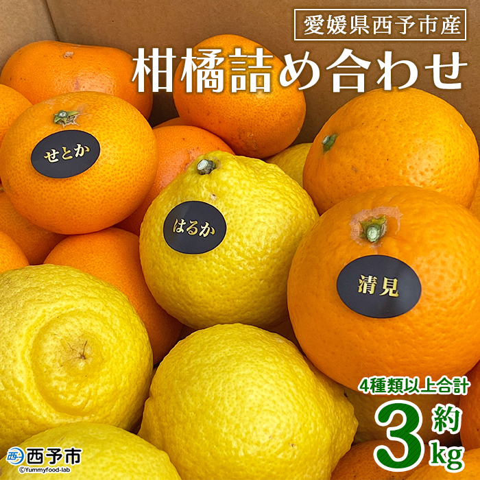 [愛媛県西予市産 柑橘詰め合わせ 合計約3kg] 果物 フルーツ おまかせ お楽しみ みかん ミカン 食べ比べ 詰合せ セット ご家庭用 柑橘 愛媛県 西予市