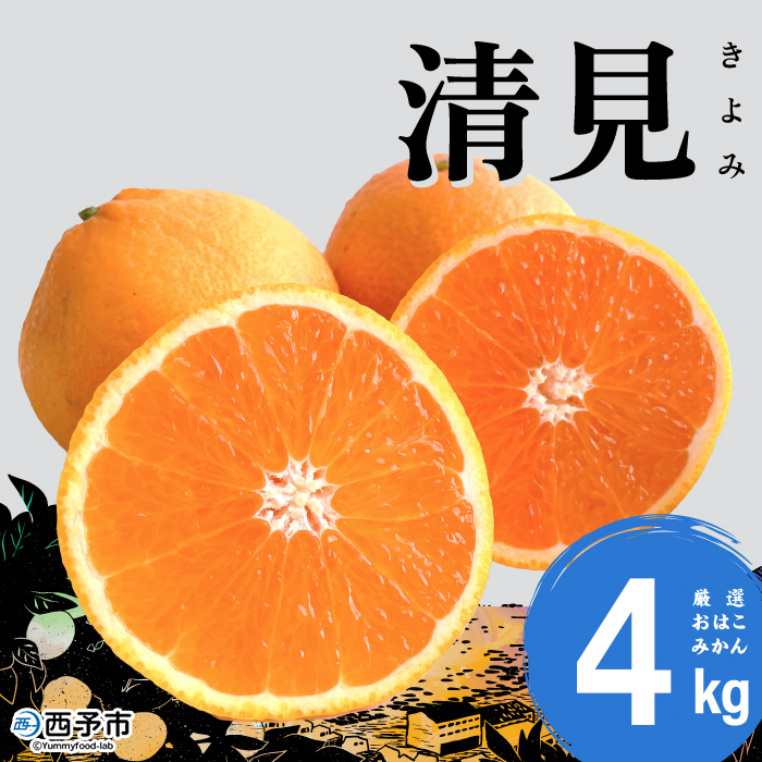 [おはこやがつくる 清見 約4kg(L〜3Lサイズ)] 果物 フルーツ 柑橘 清見タンゴール みかん 特産品 西宇和 愛媛県 西予市