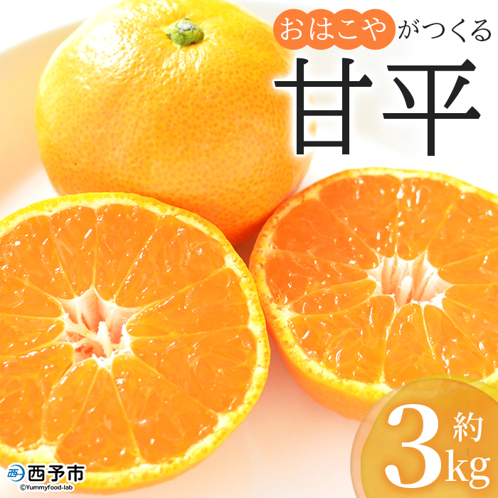 [おはこやがつくる 甘平 約3kg(L〜3Lサイズ)] 果物 フルーツ 柑橘 カンペイ みかん ミカン 蜜柑 特産品 西宇和 愛媛県 西予市