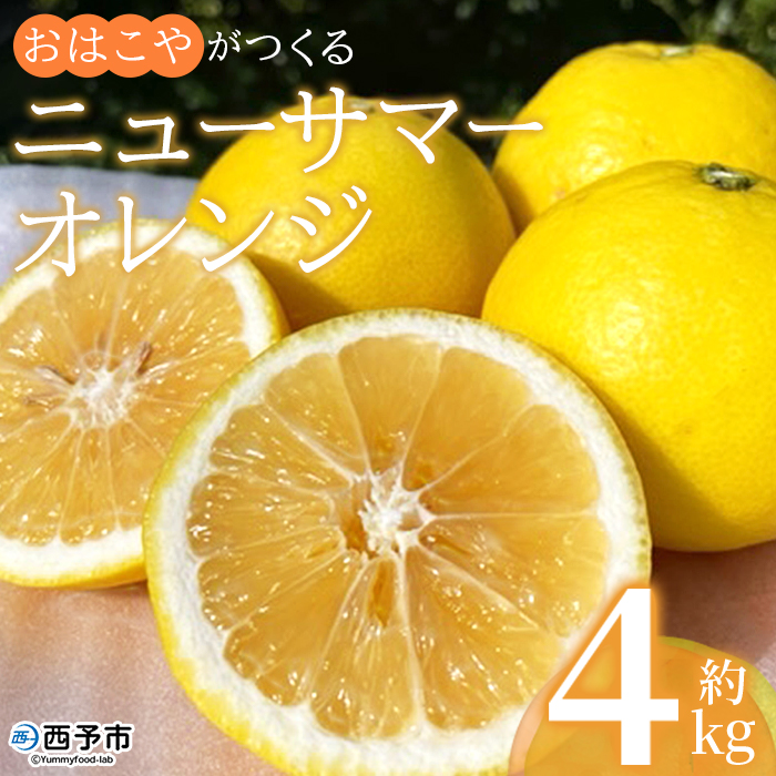 [おはこやがつくる ニューサマーオレンジ 約4kg(L〜3Lサイズ)] 果物 フルーツ 柑橘 ミカン 蜜柑 日向夏 小夏 特産品 西宇和 愛媛県 西予市