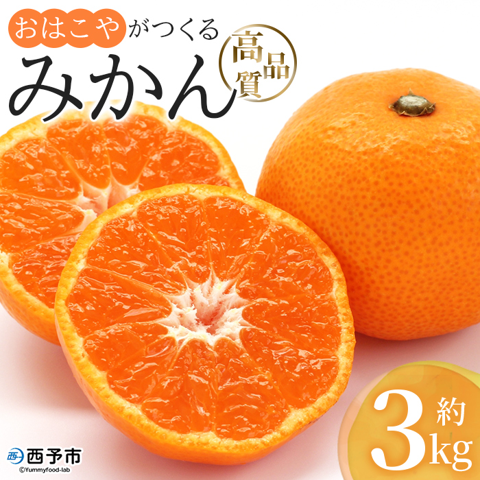 [おはこやがつくる 高品質みかん 約3kg(S〜Lサイズ)] 果物 フルーツ 柑橘 ミカン 蜜柑 特産品 西宇和 愛媛県 西予市