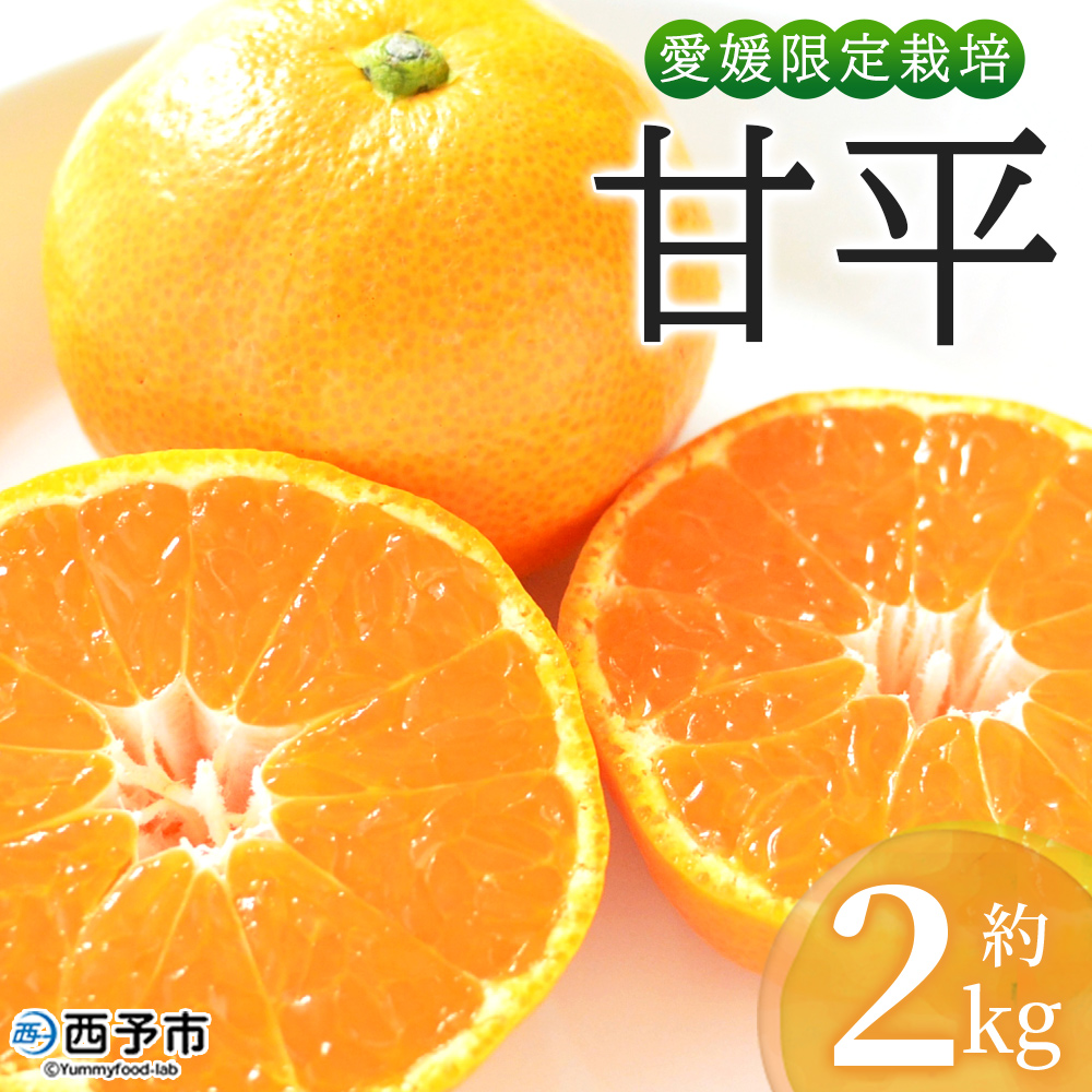 [おはこやがつくる 甘平 約2kg(L〜3Lサイズ)] 果物 フルーツ 柑橘 カンペイ みかん ミカン 蜜柑 特産品 西宇和 愛媛県 西予市