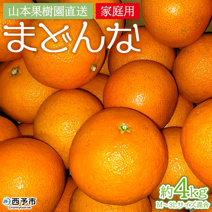 [まどんな 約4kg(家庭用・M〜3Lサイズ混合)] 果物 オレンジ フルーツ 柑橘 みかん 愛果28号 マドンナ 自宅用 産地直送 西宇和 愛媛県 西予市