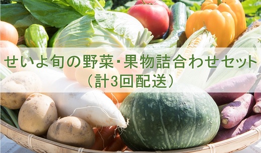 せいよ旬の野菜・果物詰合わせセット 月1回3か月(計3回配送)