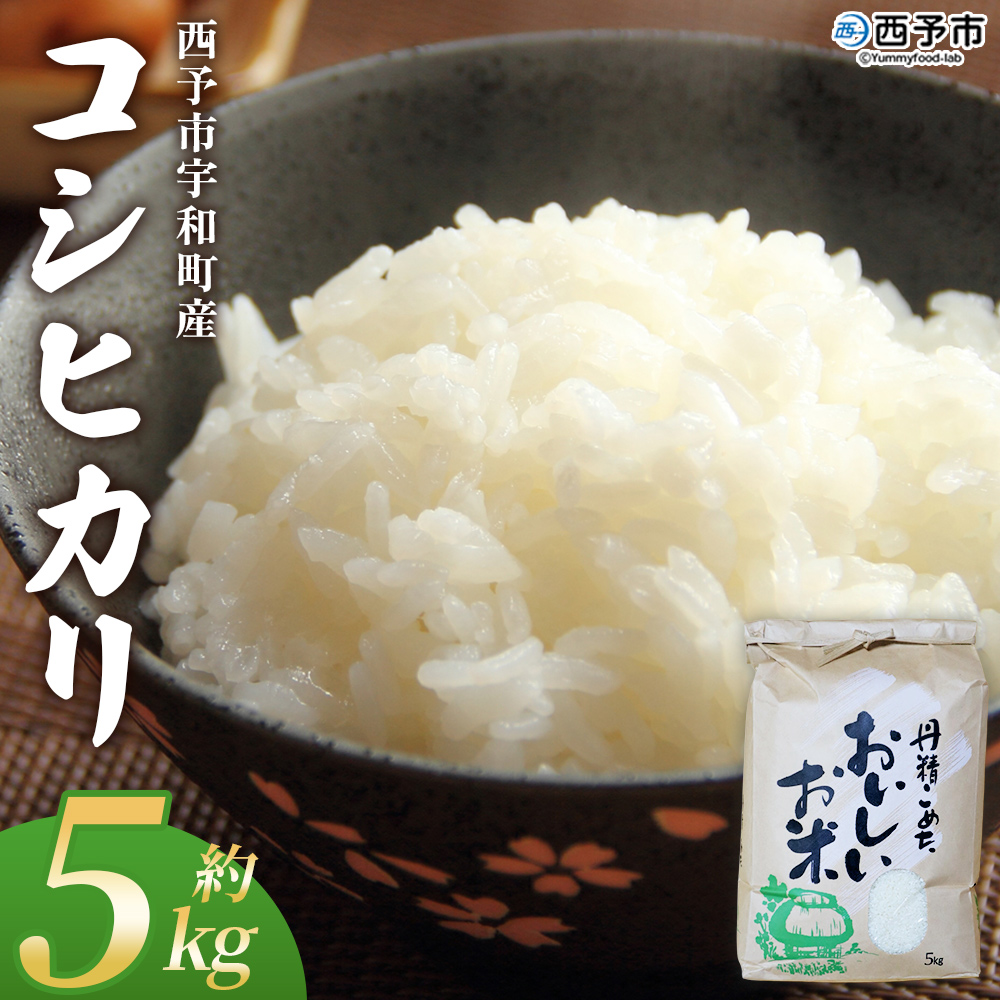 ＜コシヒカリ 約5kg＞ 5キロ こしひかり 米 お米 コメ こめ 白米 精米 ご飯 ライス もっちり 穀物 お弁当 おにぎり 特産品 愛媛県産 西予市産 宇和町産 ファームNINOMIYA 愛媛県 西予市