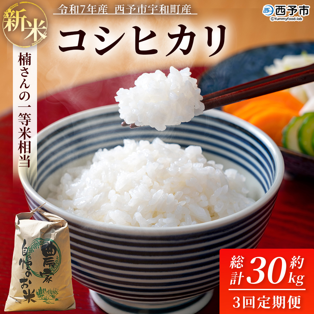 ＜【3回定期便】令和7年産 コシヒカリ 約10kg 西予市宇和町産＞ 白米 精米 楠さんの一等米相当 選べる こしひかり お米 コメ こめ ご飯 ごはん 早く届く スピード発送 愛媛県 西予市