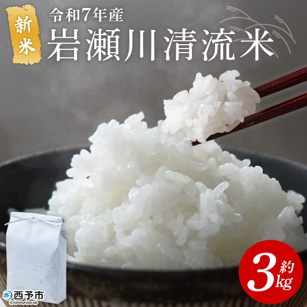 ＜令和7年産 新米 コシヒカリ 岩瀬川清流米 3kg＞ 3キロ こしひかり お米 コメ こめ 白米 精米 ご飯 穀物 鮮度 特産品 愛媛県産 西予市産 宇和町産 OTSUKAFARM 愛媛県 西予市
