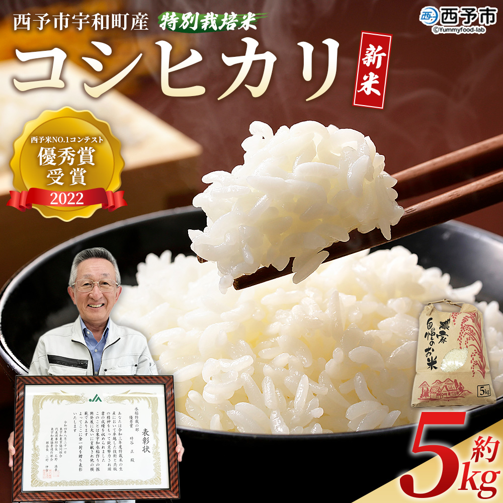 ＜令和7年産 西予市宇和町産 特別栽培米 コシヒカリ 約5kg＞ お米 コメ こめ 白米 精米 ご飯 穀物 こしひかり 西予米NO.1コンテスト 優秀賞 特産品 愛媛県産 西予市産 時谷ファーム 愛媛県 西予市