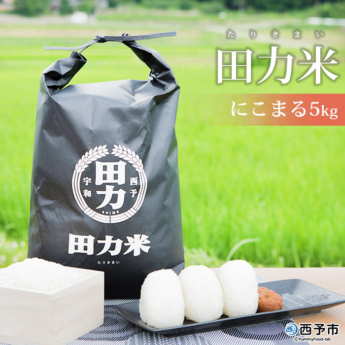 ＜令和7年産 田力米 5kg にこまる＞お米 こめ コメ 白米 精米 ご飯 ごはん 特産品 産地直送 田力本願 愛媛県 西予市