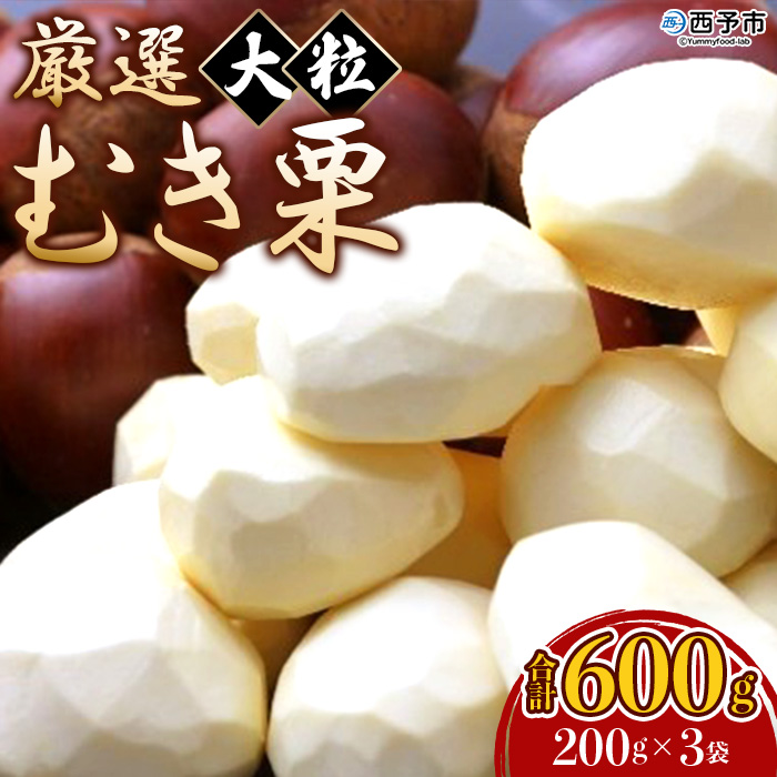 [厳選 大粒むき栗 合計600g(200g×3袋)] くり 生栗 剥き栗 マロン 秋の味覚 愛媛県 西予市