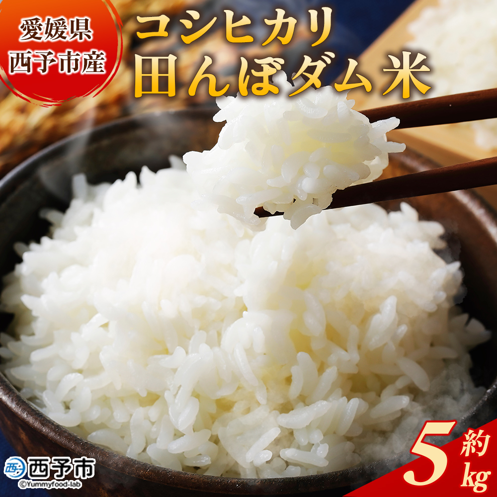 ＜令和7年産 愛媛県西予市産 コシヒカリ 田んぼダム米 5kg＞ 5キロ こしひかり 西予応援米 宇和米 お米 コメ こめ 白米 精米 米 国産 愛媛県産 宇和町産 和みファーム 愛媛県 西予市