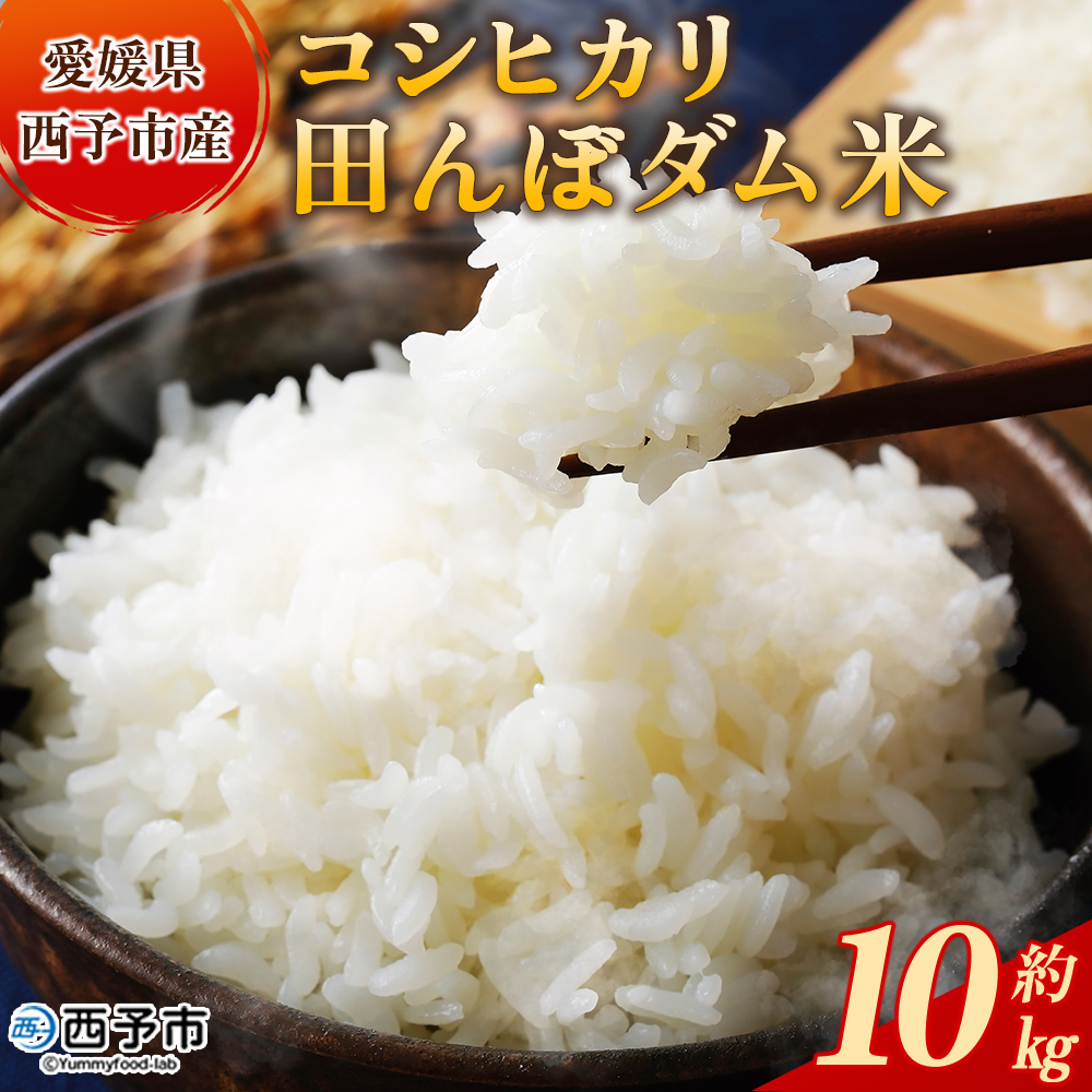 ＜令和7年産 愛媛県西予市産 コシヒカリ 田んぼダム米 10kg＞ 10キロ こしひかり 西予応援米 宇和米 お米 コメ こめ 白米 精米 米 国産 愛媛県産 宇和町産 和みファーム 愛媛県 西予市