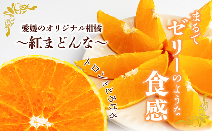数量限定 紅まどんな　赤秀3L～L（10玉～15玉） 果物類 柑橘類 フルーツ 甘い 香り 美味しい 柑橘 プレミアム ゼリー