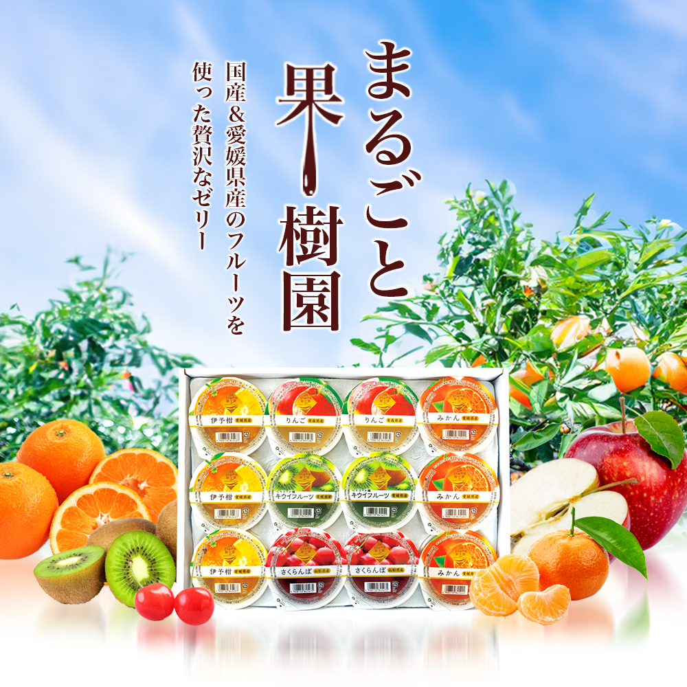 NO.12まるごと果樹園詰合せ