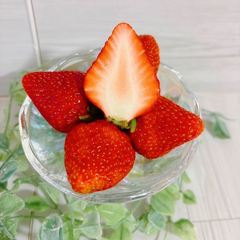 【訳あり】冷凍いちご 愛媛県東温市産紅ほっぺ お徳用 1.5kg いちご イチゴ 苺 冷凍 シェイク スムージー 冷たい  パフェ アイス