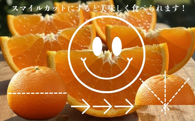 せとか2.5kg ご家庭用 サイズお任せ 今が旬 農園直送 みかん 人気 数量限定 先行予約 柑橘 蜜柑 ミカン 愛媛みかん かんきつ 国産 愛媛県 産地直送 フルーツ 果物 くだもの 甘い 2.5キロ箱 大粒 果実　瀬戸香