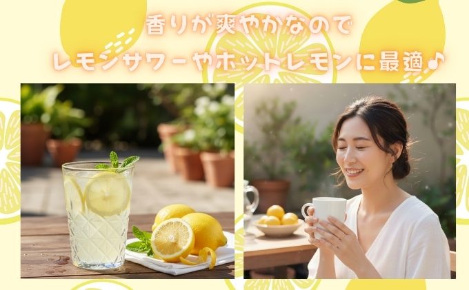 アレンユーレカ種レモン2.5ｋｇご家庭用 サイズお任せ 今が旬 農園直送 れもん 人気 数量限定 先行予約 柑橘  愛媛みかん かんきつ 国産 愛媛県 産地直送 フルーツ 果物 くだもの 香り 2.5キロ箱 大粒 果実