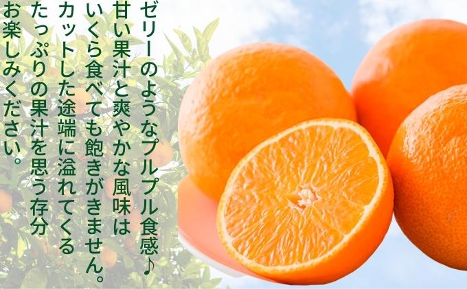 「栗林農園」カラフルミニトマト詰合せと紅まどんなのセット 果物 トマトベリー ピーチチェリー イエローミミ サングリーン トスカーナバイオレット プリンセスオレンジ